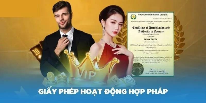 Thông tin giấy phép là gì?