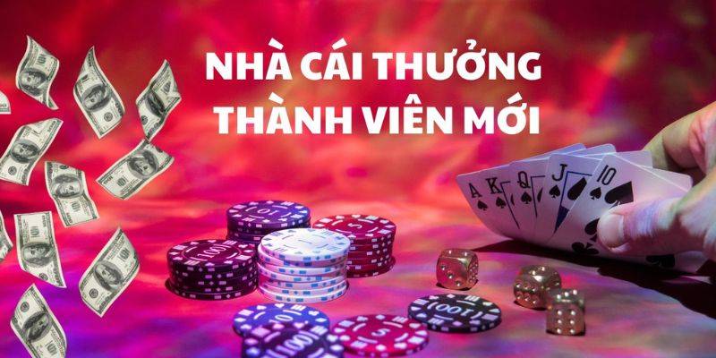 Top các chương trình khuyến mãi Bsports được nhiều người tham gia